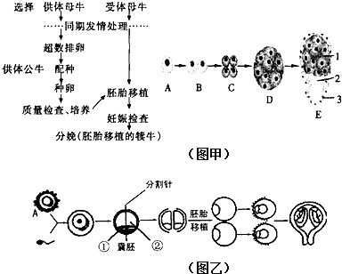 作业帮