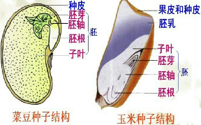 作业帮