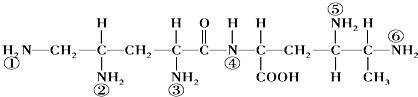 如图为某二肽分子结构示意图,已形成肽键和可能形成肽键的-nh 2 分别