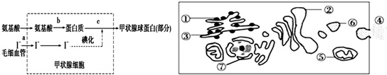 作业帮