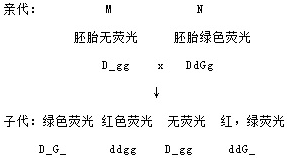 作业帮