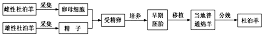 作业帮