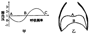 作业帮