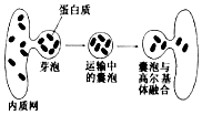 作业帮