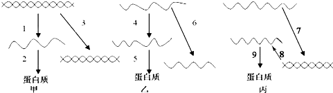 作业帮