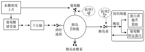 作业帮