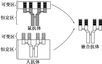 作业帮