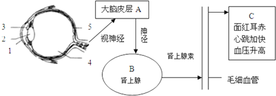 作业帮