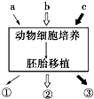 作业帮