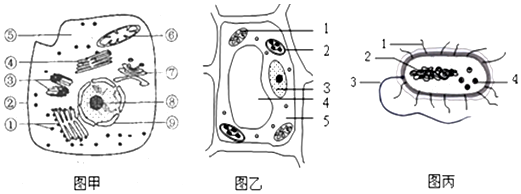 作业帮