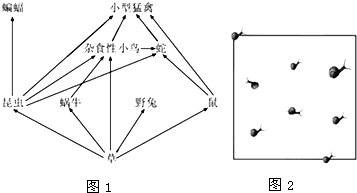 作业帮