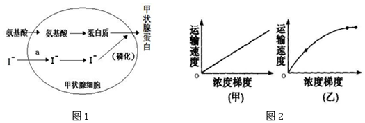 作业帮