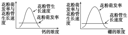 作业帮