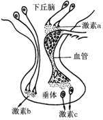 作业帮