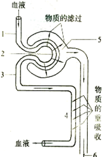 作业帮