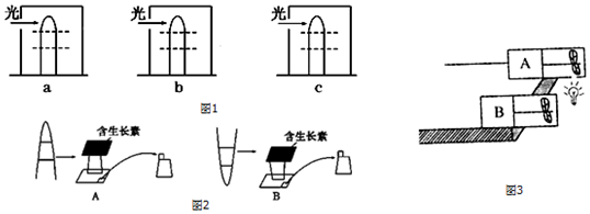 作业帮