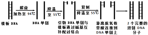 作业帮