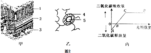 作业帮