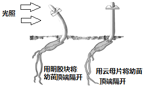 作业帮