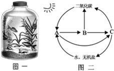 作业帮