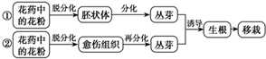 作业帮