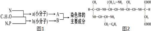 作业帮