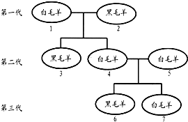 作业帮