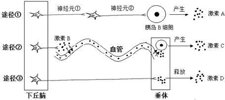 作业帮