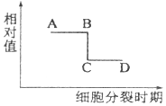 作业帮