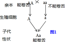 作业帮