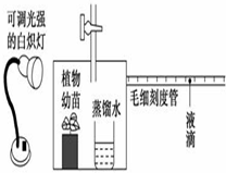 作业帮