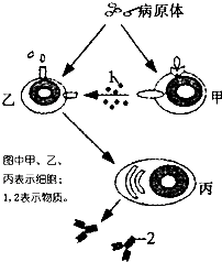 作业帮