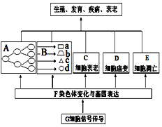 作业帮