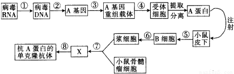 作业帮