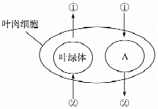 作业帮