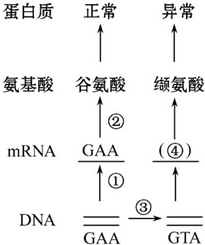 作业帮