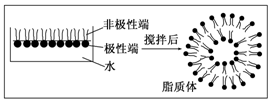 作业帮