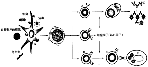 作业帮