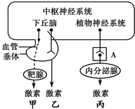 作业帮