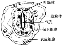 作业帮