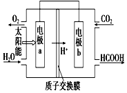 作业帮