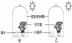 作业帮