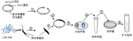 作业帮