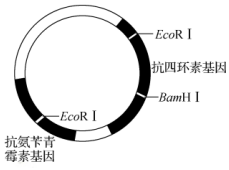 作业帮