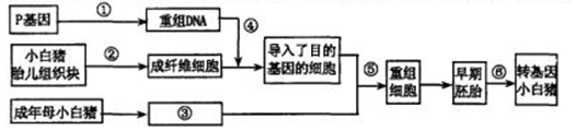 作业帮