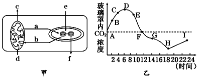 作业帮