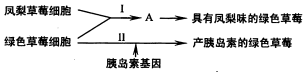 作业帮