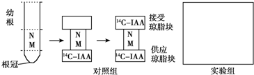 作业帮