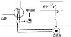 作业帮