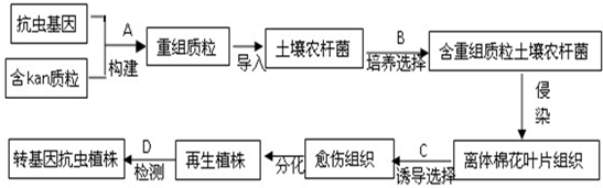 作业帮